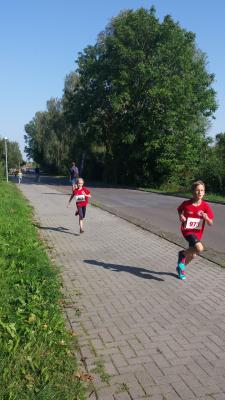 Foto des Albums: Angermünder Sommerlauf, 27.08.2016 (31.​08.​2016)