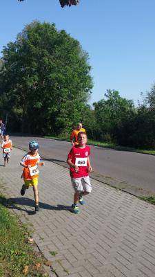 Foto des Albums: Angermünder Sommerlauf, 27.08.2016 (31.​08.​2016)
