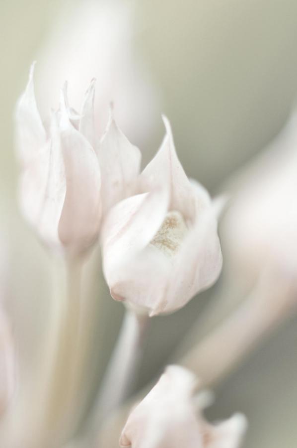 Foto der Galerie: Sinneseindrücke