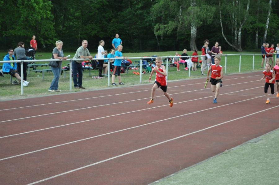 Foto der Galerie: Leichtathletik 2016 (April bis Juli)