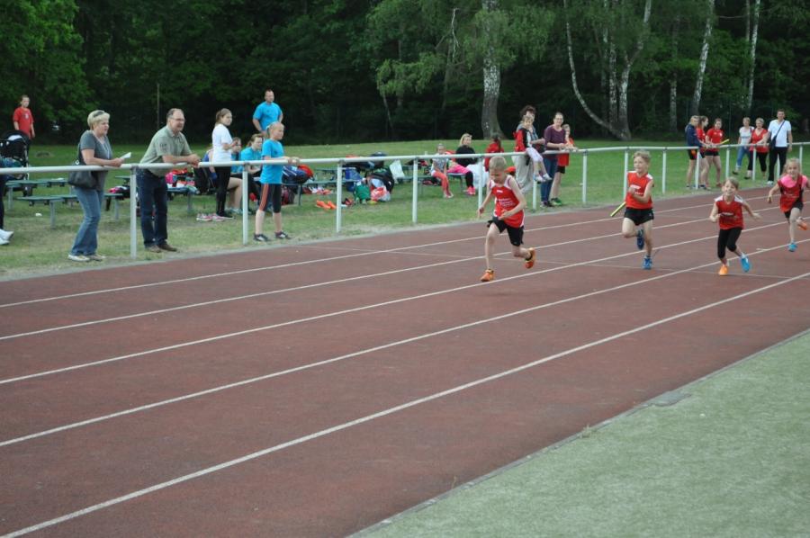 Foto der Galerie: Leichtathletik 2016 (April bis Juli)