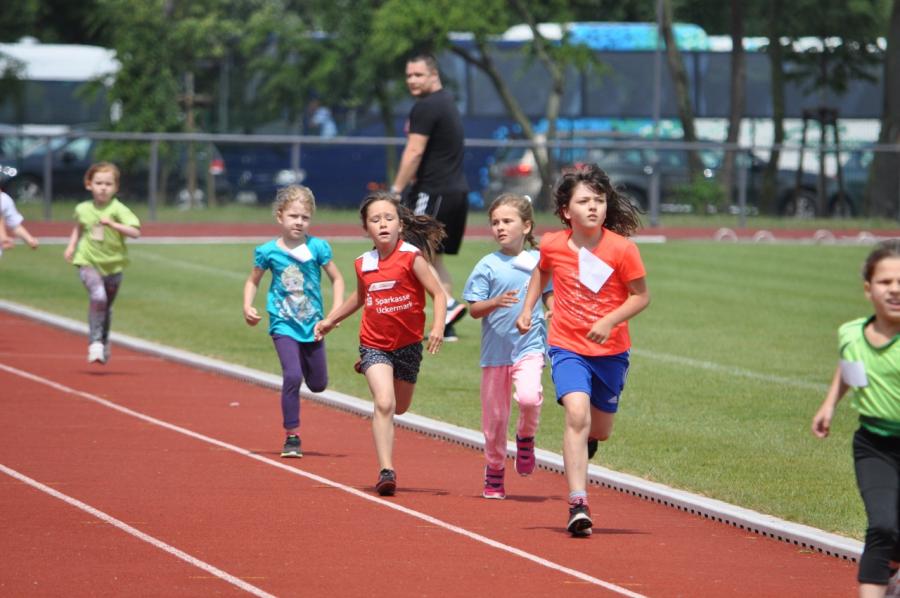 Foto der Galerie: Leichtathletik 2016 (April bis Juli)