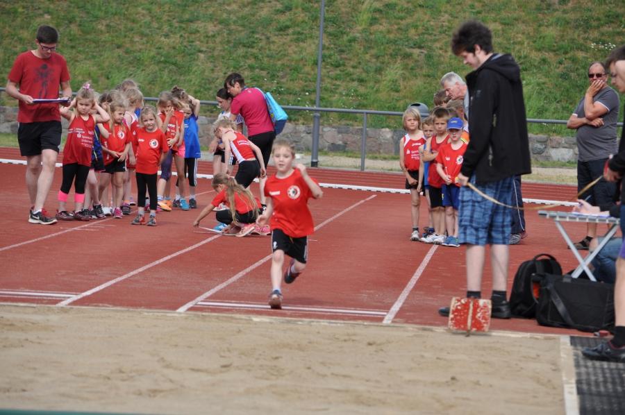 Foto der Galerie: Leichtathletik 2016 (April bis Juli)