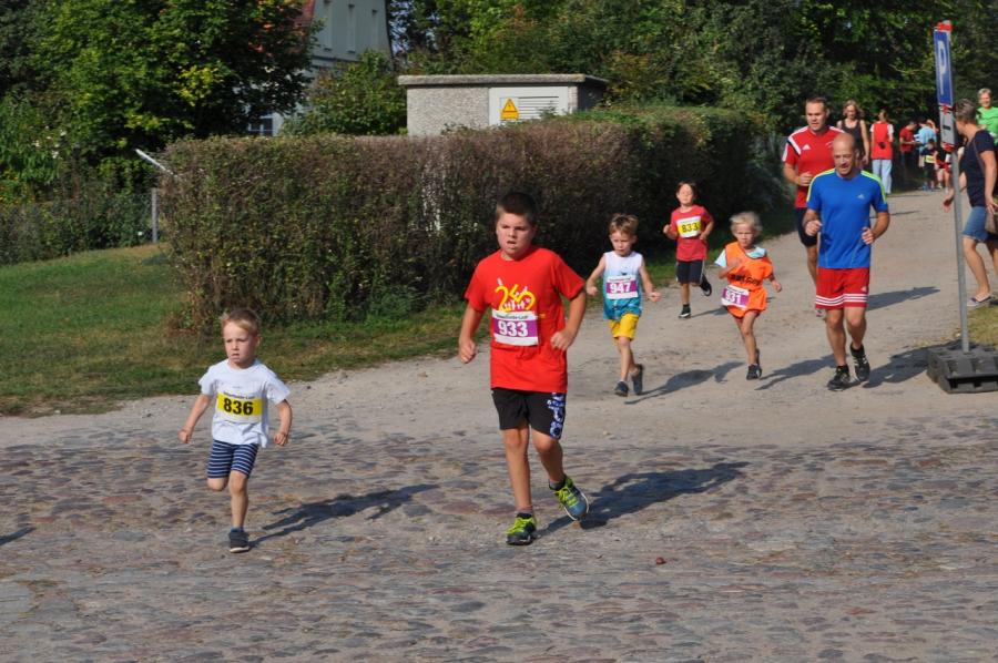 Foto der Galerie: Leichtathletik 2016 (August bis Oktober)
