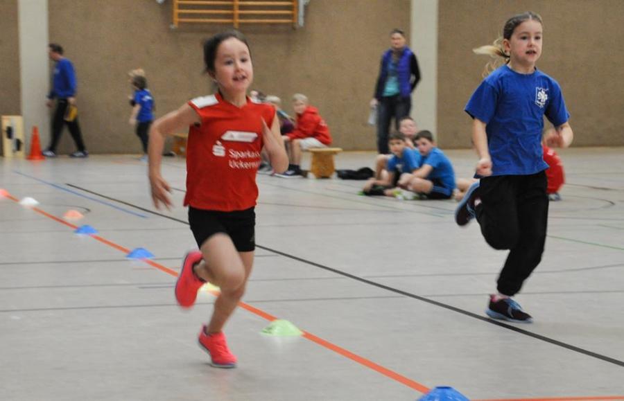 Foto der Galerie: Leichtathletik 2017 (Januar bis März)