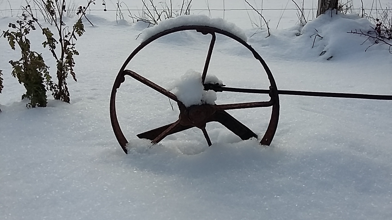 Winterimpression 