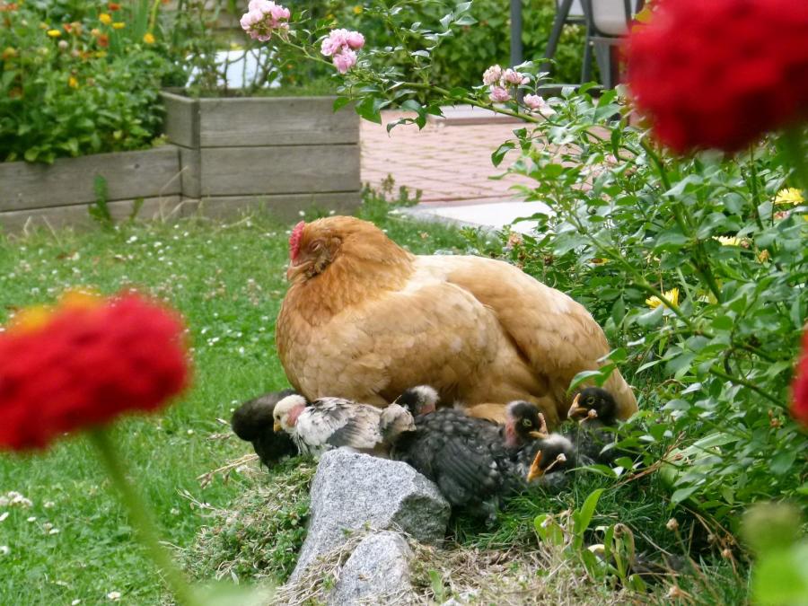 und dann ist Siesta ... 