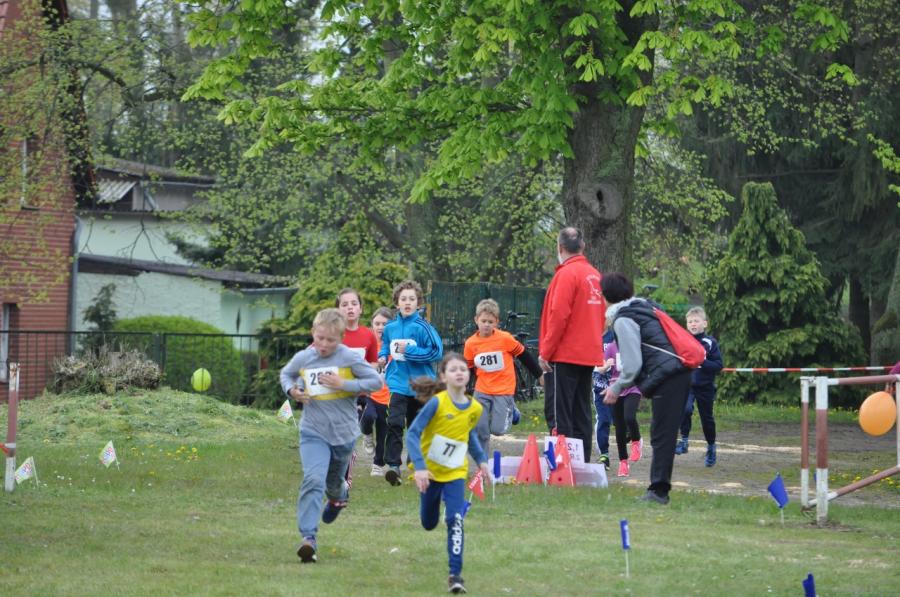 Foto der Galerie: 12. Brüssower Pokallauf