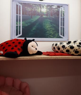 Vorschaubild der Galerie
