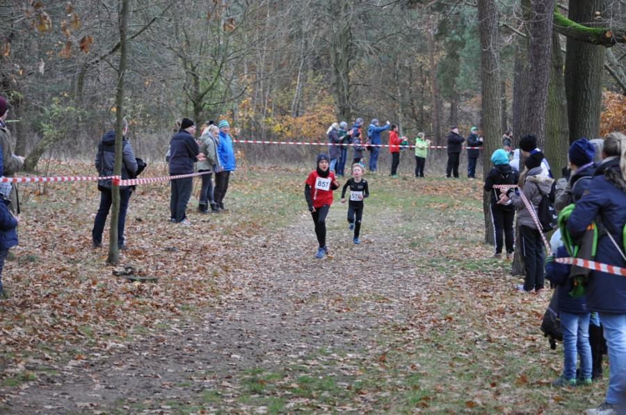 Foto der Galerie: Leichtathletik 2017 (November und Dezember)