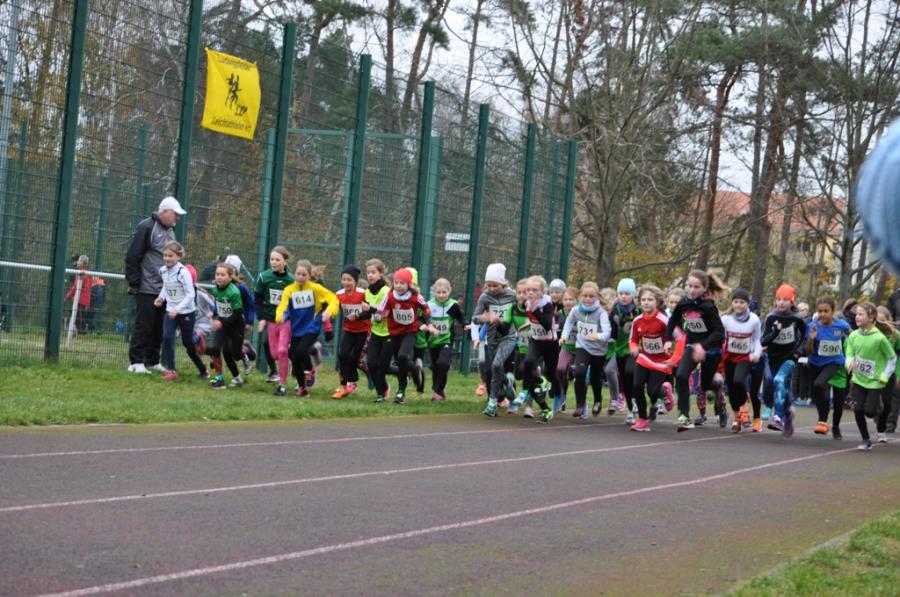 Foto der Galerie: Leichtathletik 2017 (November und Dezember)