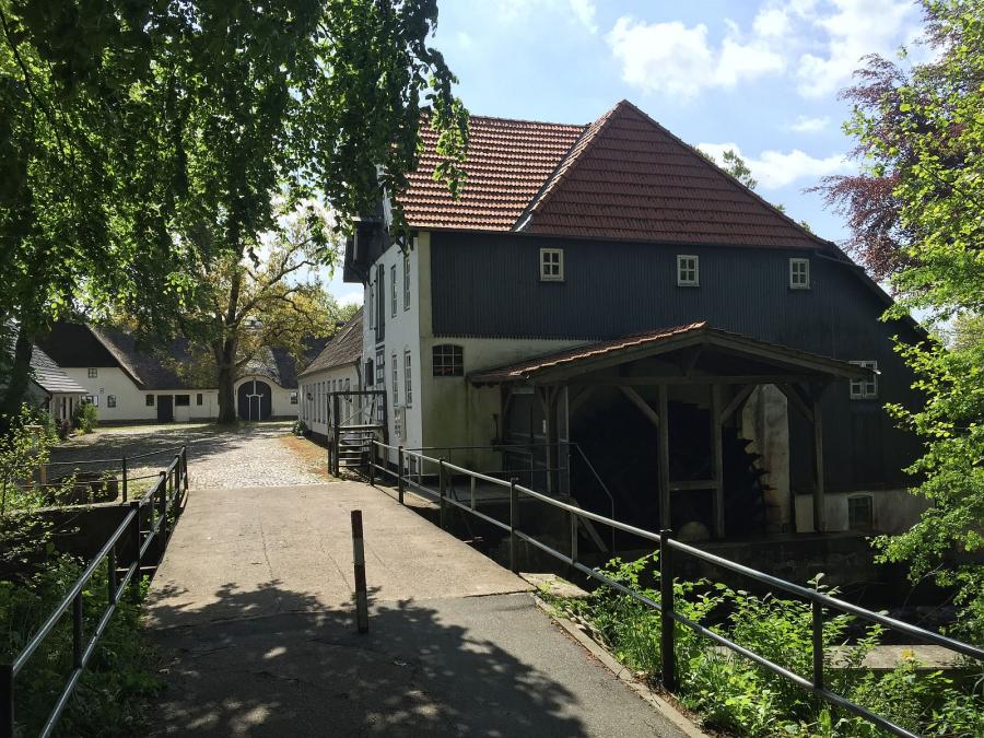 Galeriebild