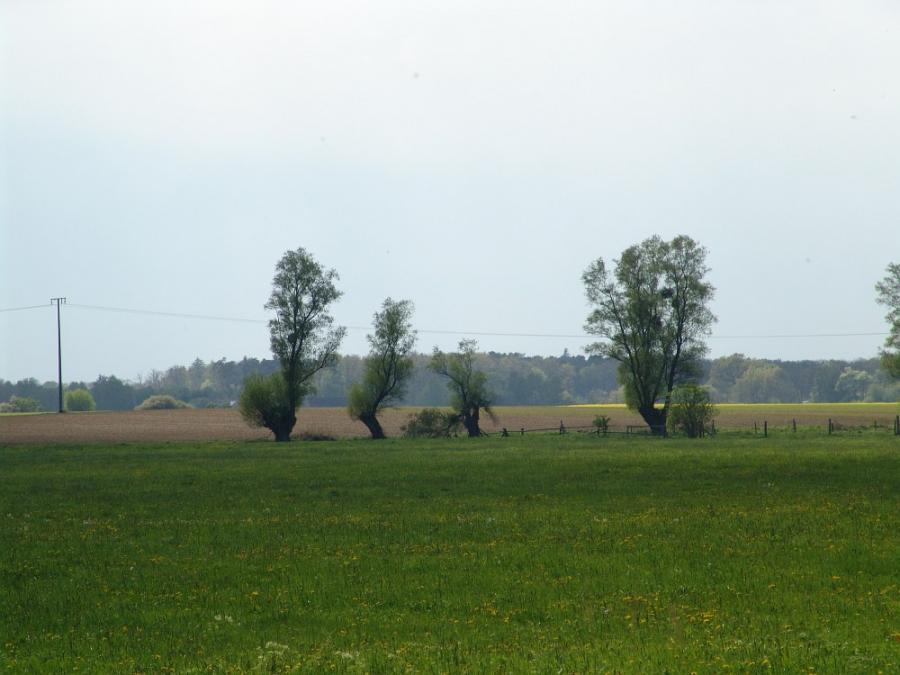Foto der Galerie: Zum Haff
