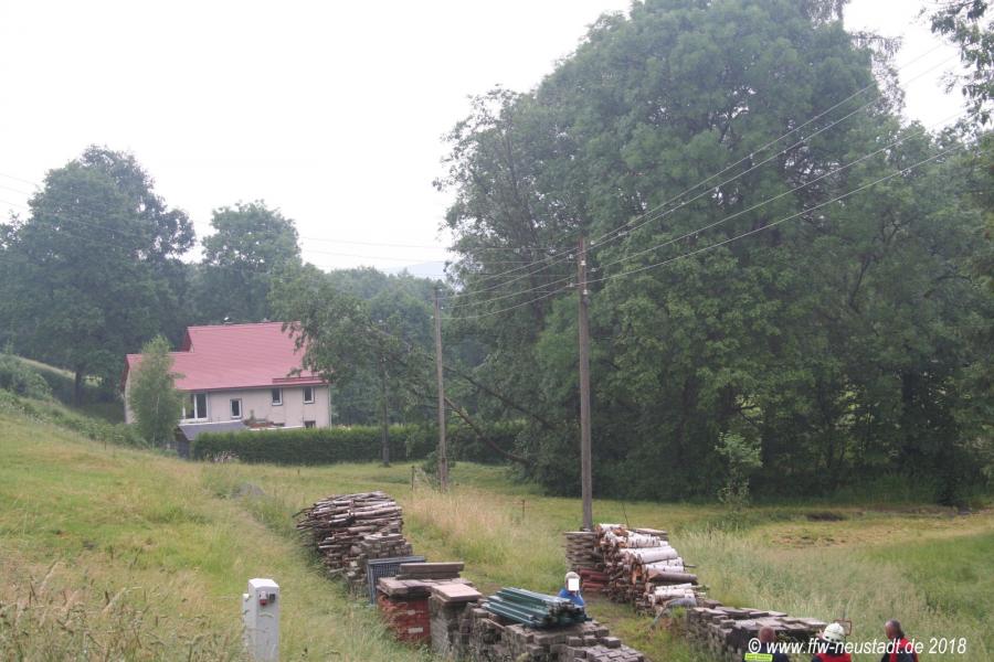 Foto der Galerie: Baumsturz; 2 Bäume in Stromleitung