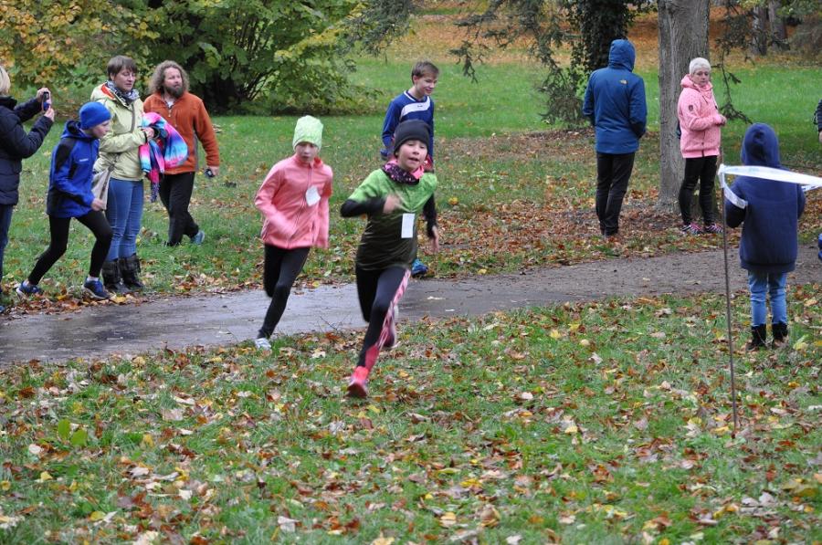 Foto der Galerie: Leichtathletik 2018 (Oktober bis Dezember)