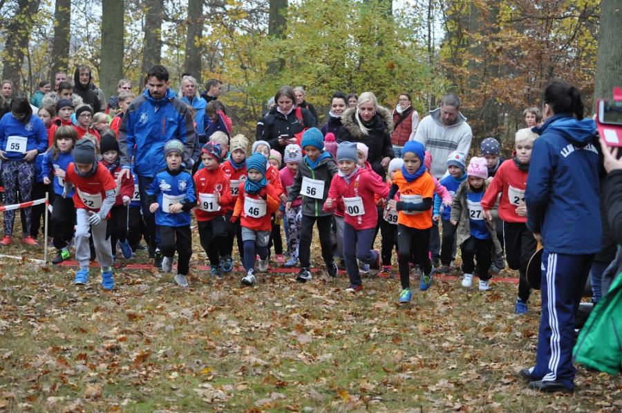 Foto der Galerie: Leichtathletik 2018 (Oktober bis Dezember)
