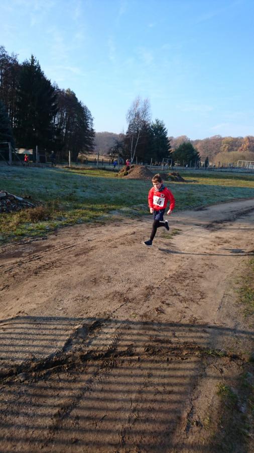 Foto der Galerie: Leichtathletik 2018 (Oktober bis Dezember)