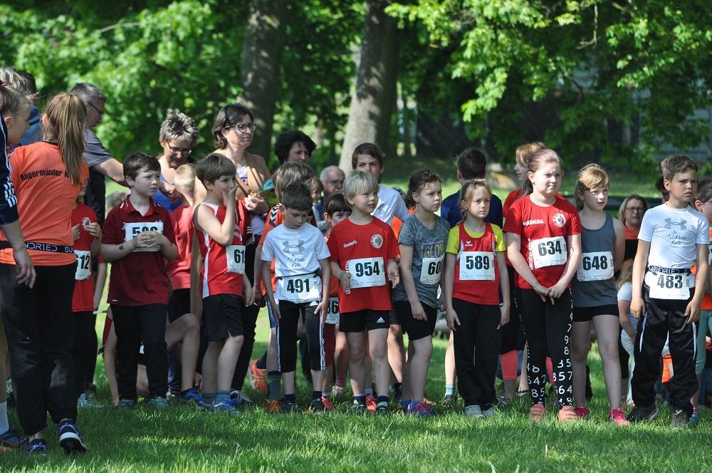 Foto der Galerie: Brüssower Pokallauf, 18.05.2019