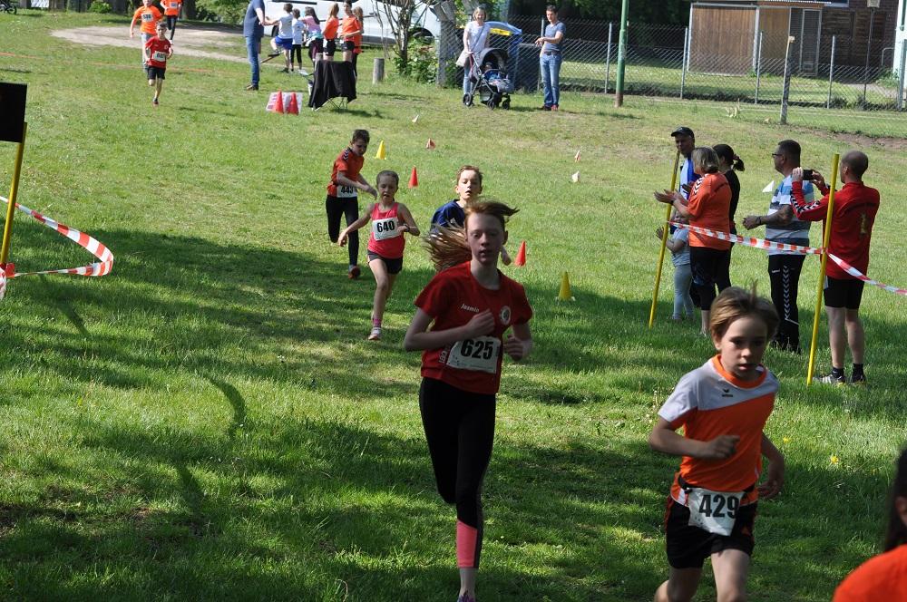 Foto der Galerie: Brüssower Pokallauf, 18.05.2019