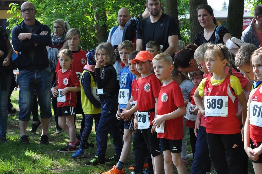 Foto der Galerie: Brüssower Pokallauf, 18.05.2019