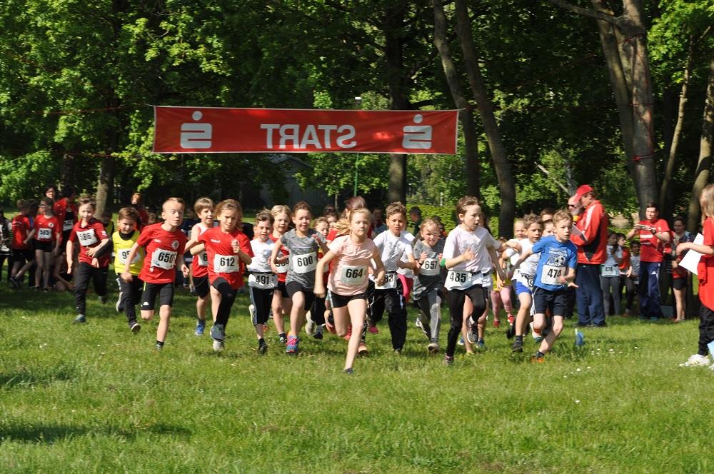 Foto der Galerie: Brüssower Pokallauf, 18.05.2019