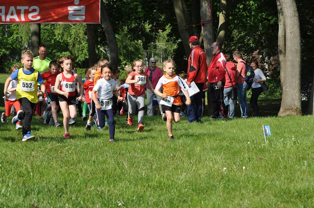 Foto der Galerie: Brüssower Pokallauf, 18.05.2019