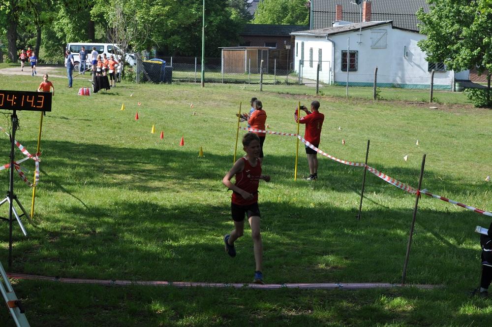 Foto der Galerie: Brüssower Pokallauf, 18.05.2019