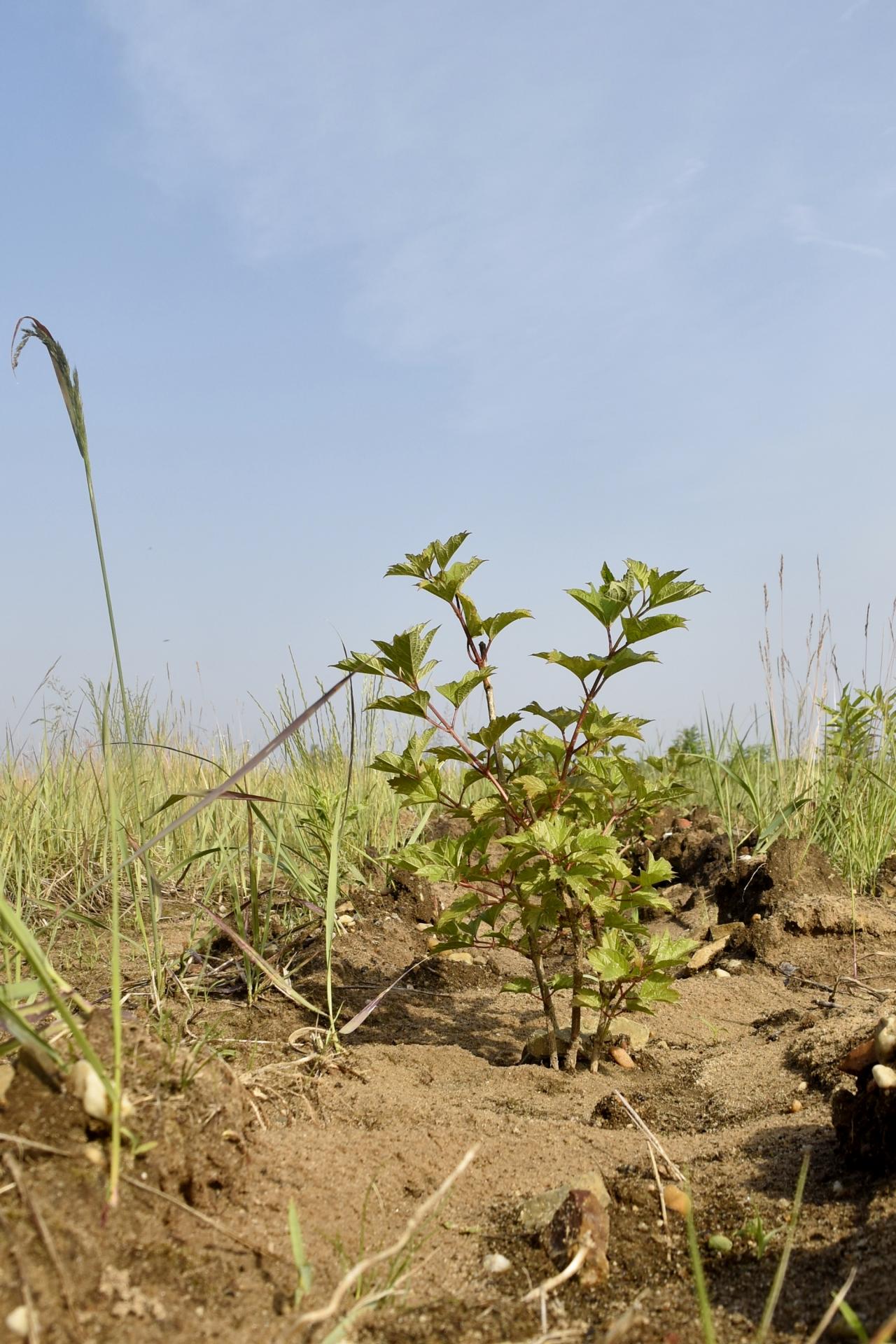 Foto der Galerie: Umwelt & Rekultivierung