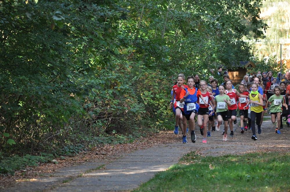 Foto der Galerie: Leichtathletik 2019 (Juli bis September)