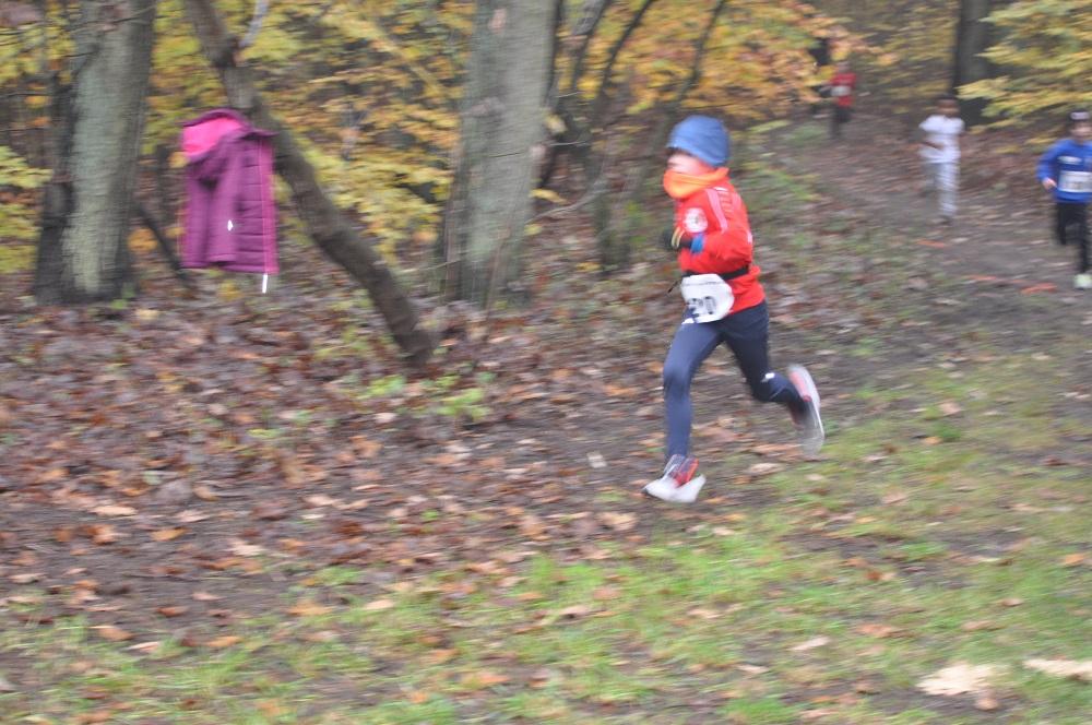 Foto der Galerie: Leichtathletik 2019 (Oktober bis Dezember)
