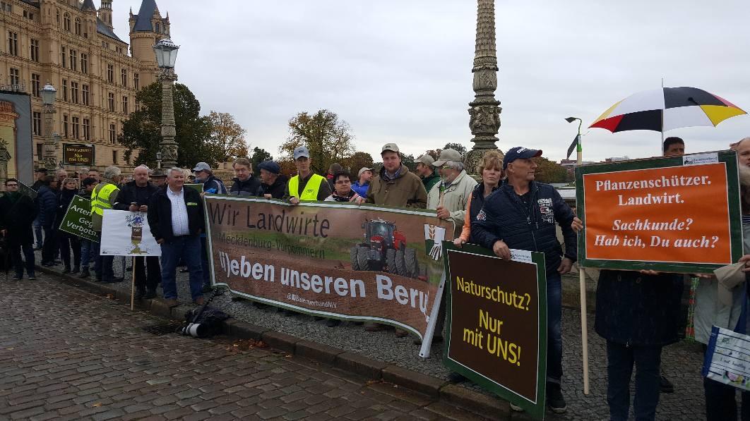 Foto der Galerie: Dialogdemo in Schwerin