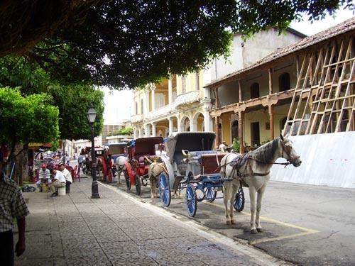 Droschken-in-Granada 