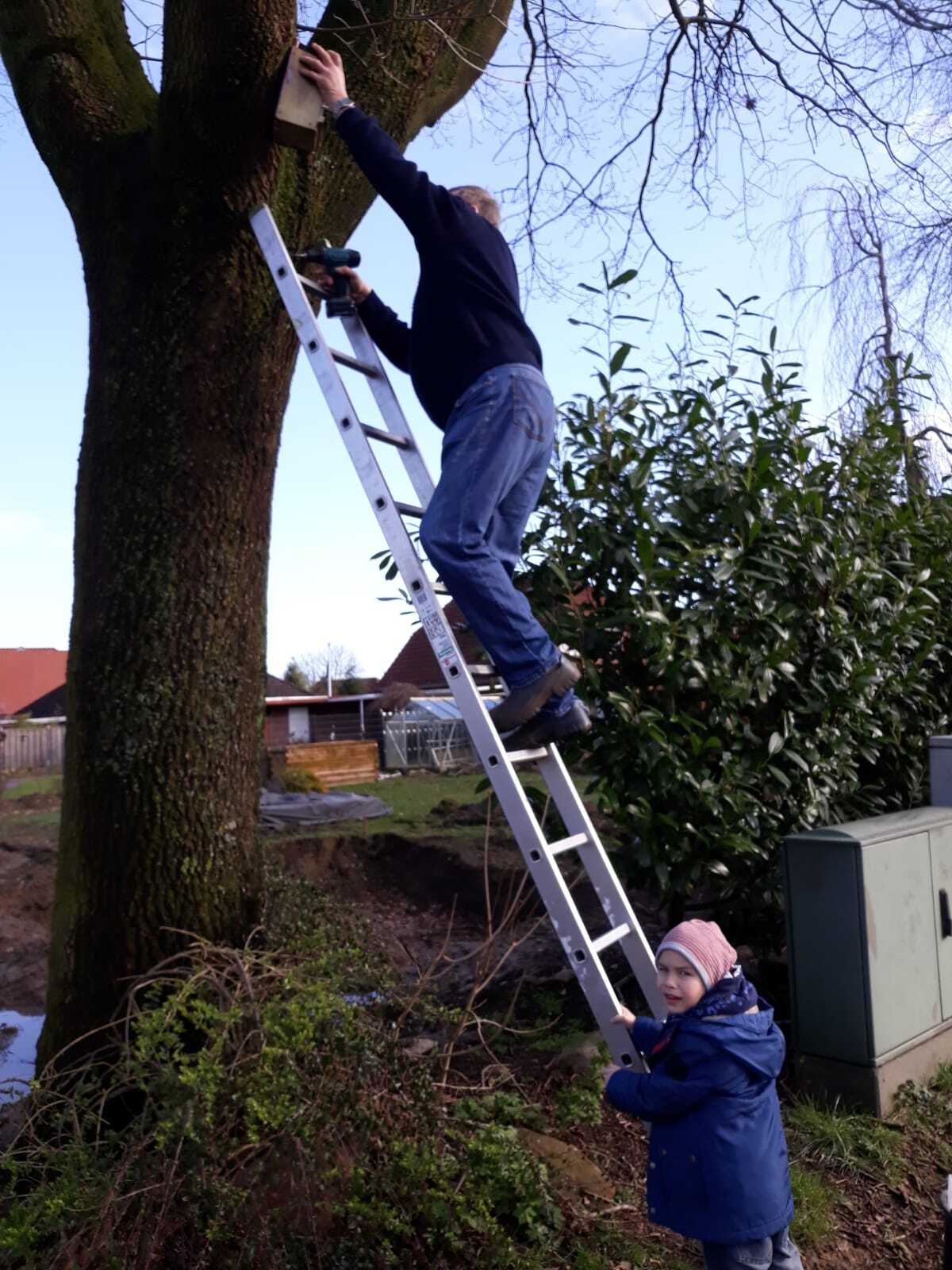 Bild: Vogelhaus anbringen