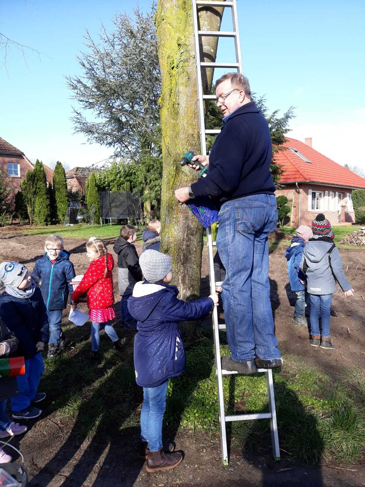 Bild: Vogelhaus anbringen