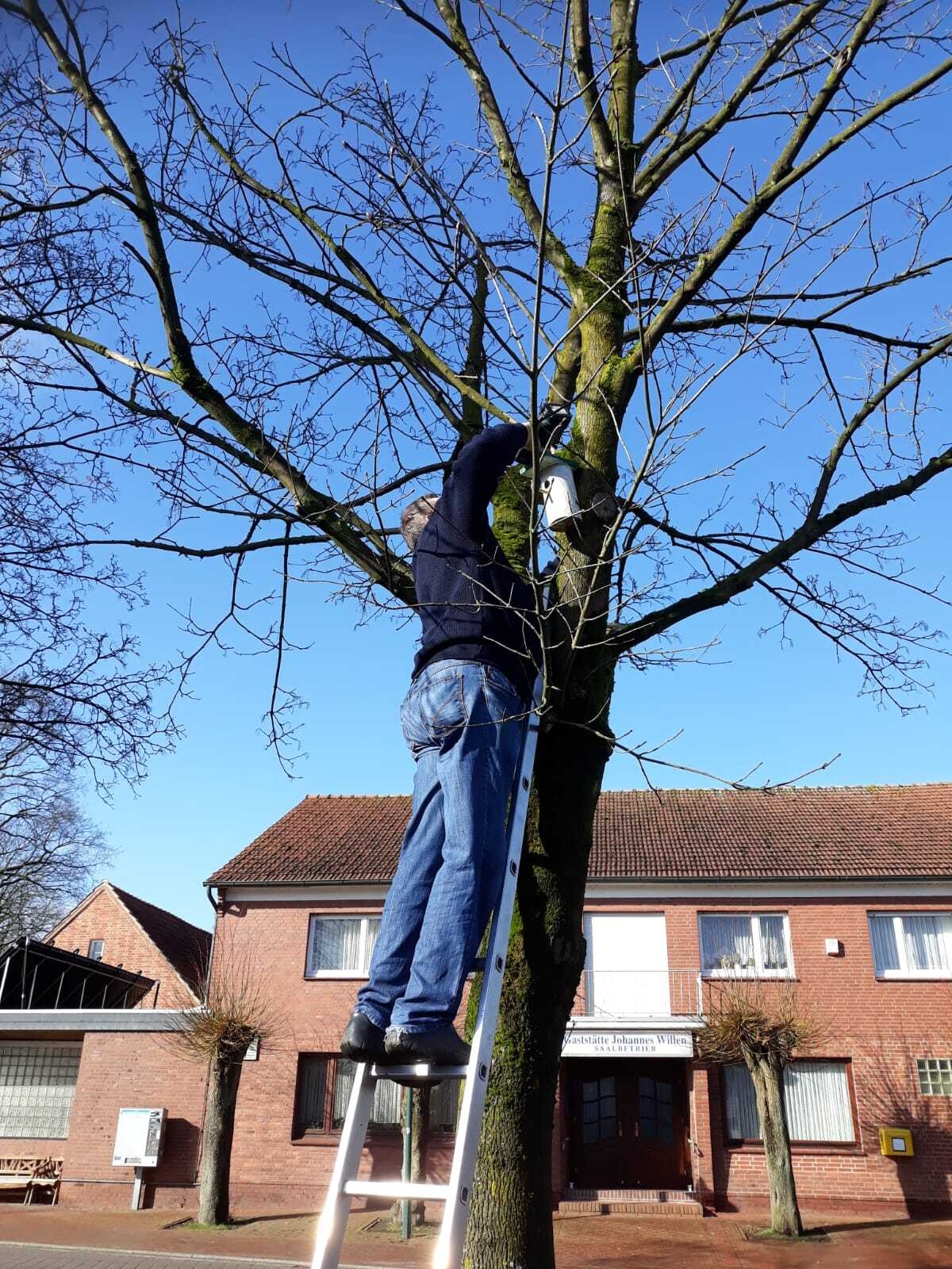Bild: Vogelhaus anbringen