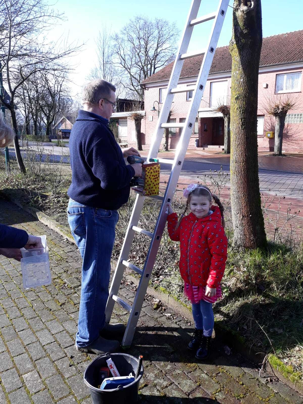 Bild: Vogelhaus anbringen