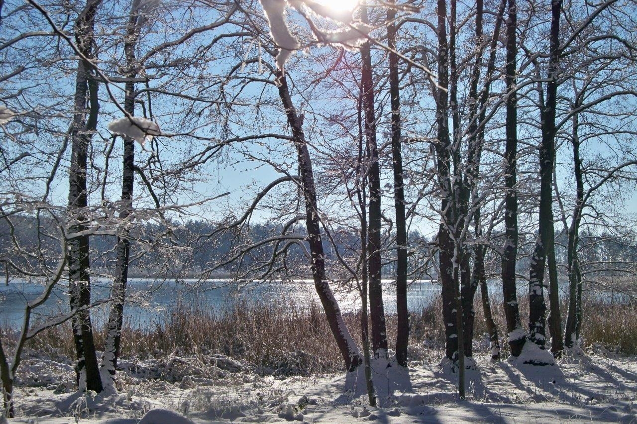 Foto der Galerie: Winterimpressionen Naturlehrpfad