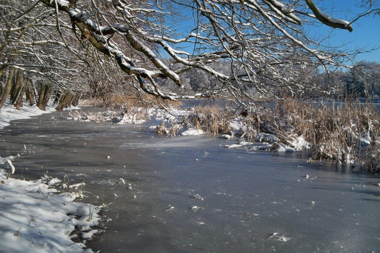 Foto der Galerie: Winterimpressionen Naturlehrpfad