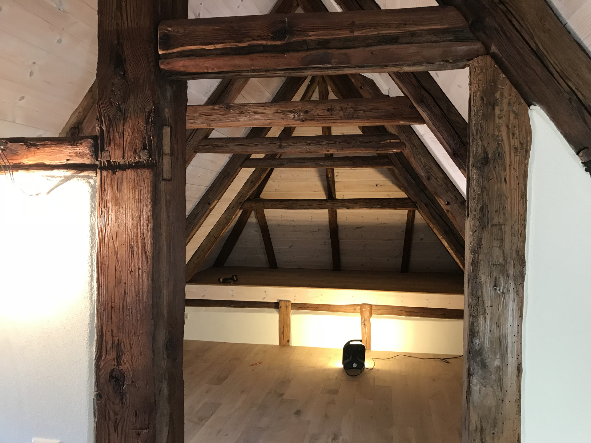 Bild der Galerie