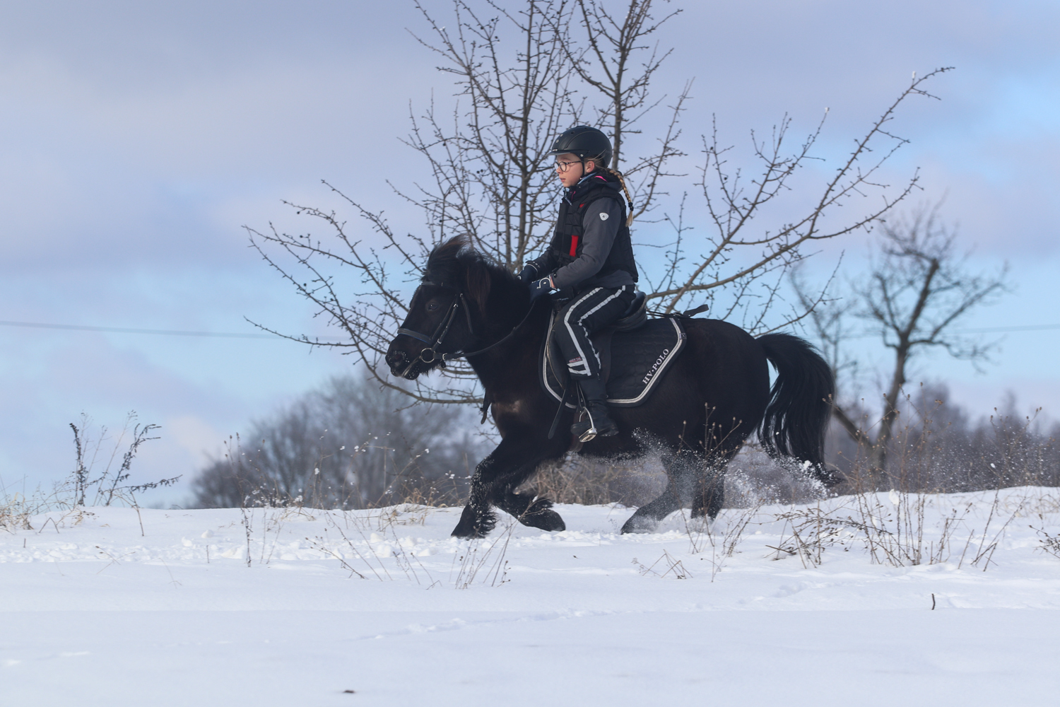 Foto der Galerie: Winterwonderland II 2021