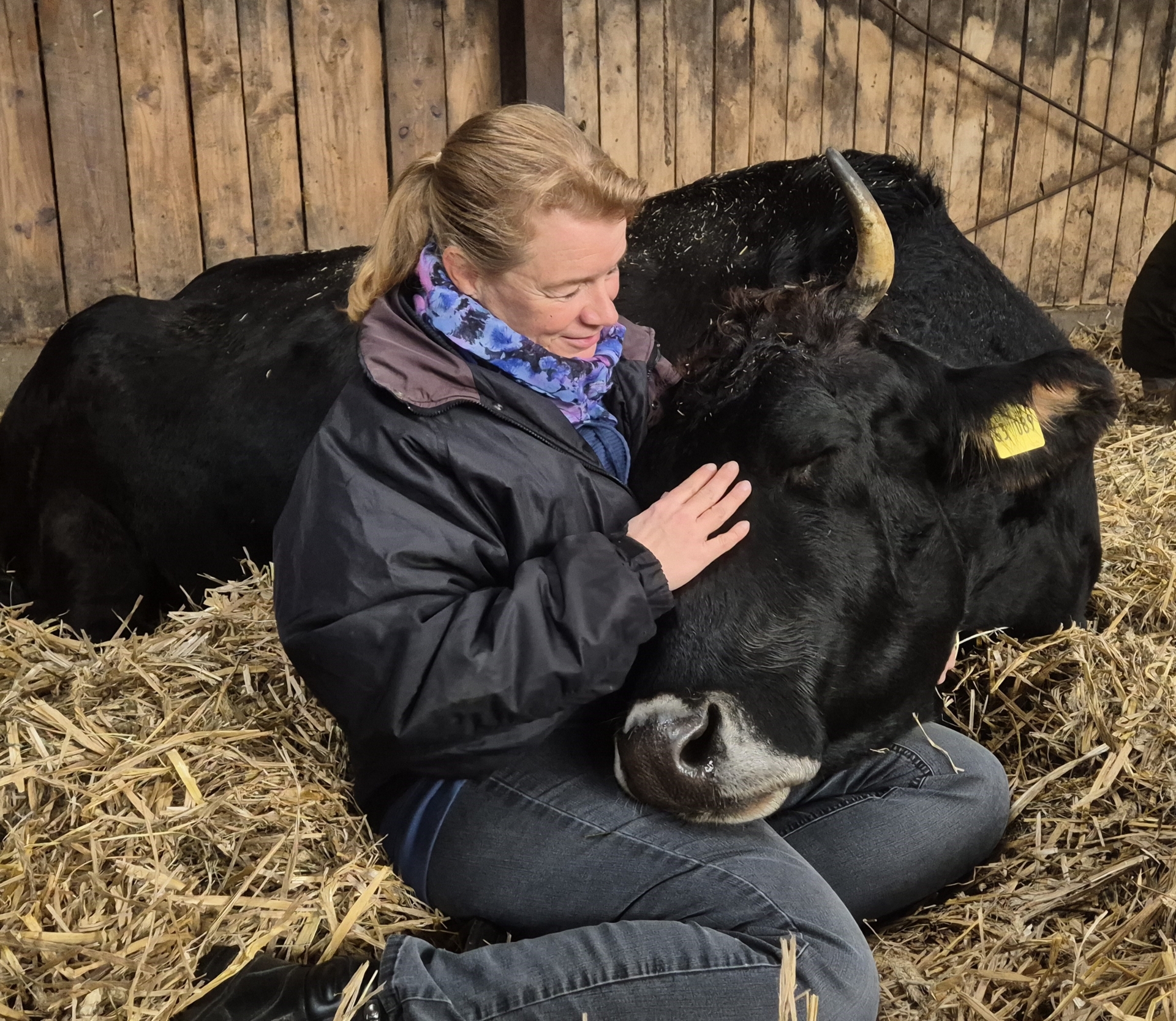 Foto der Galerie: Galerie