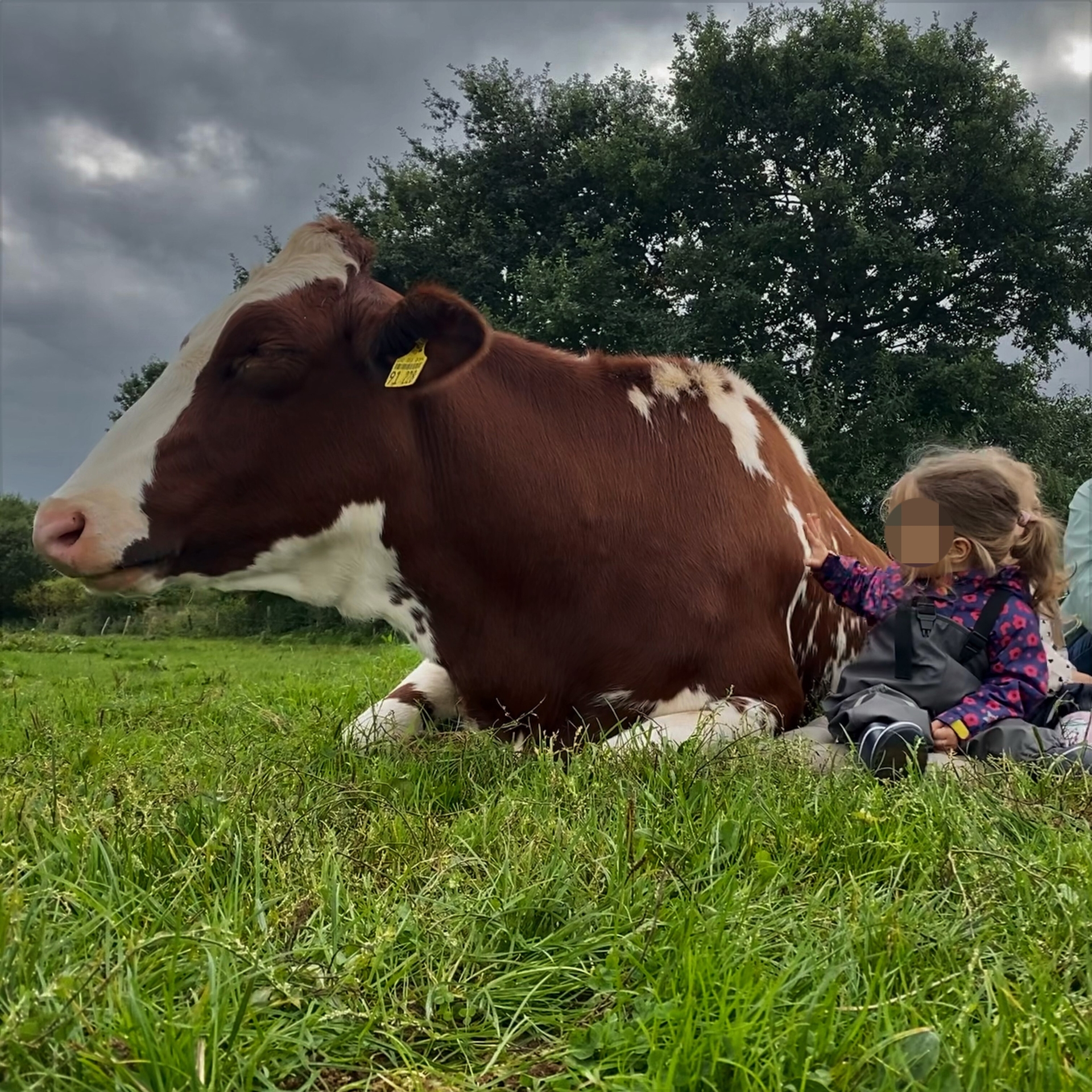 Foto der Galerie: Galerie