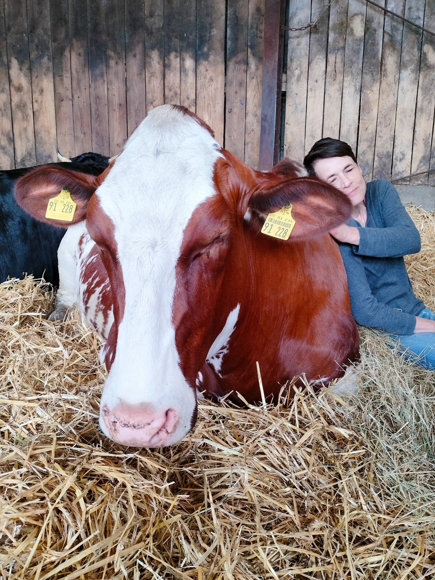 Foto der Galerie: Galerie