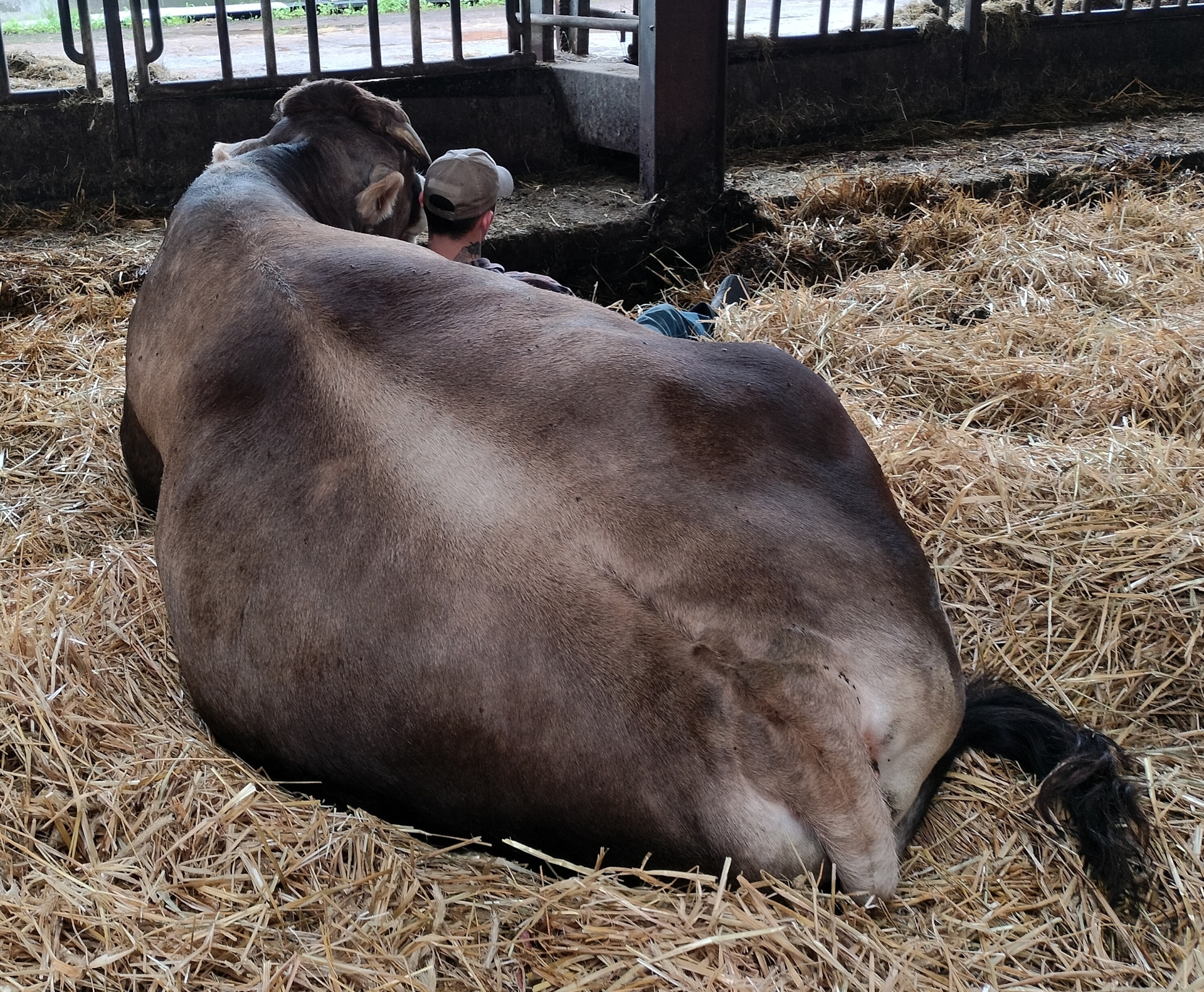 Foto der Galerie: Galerie