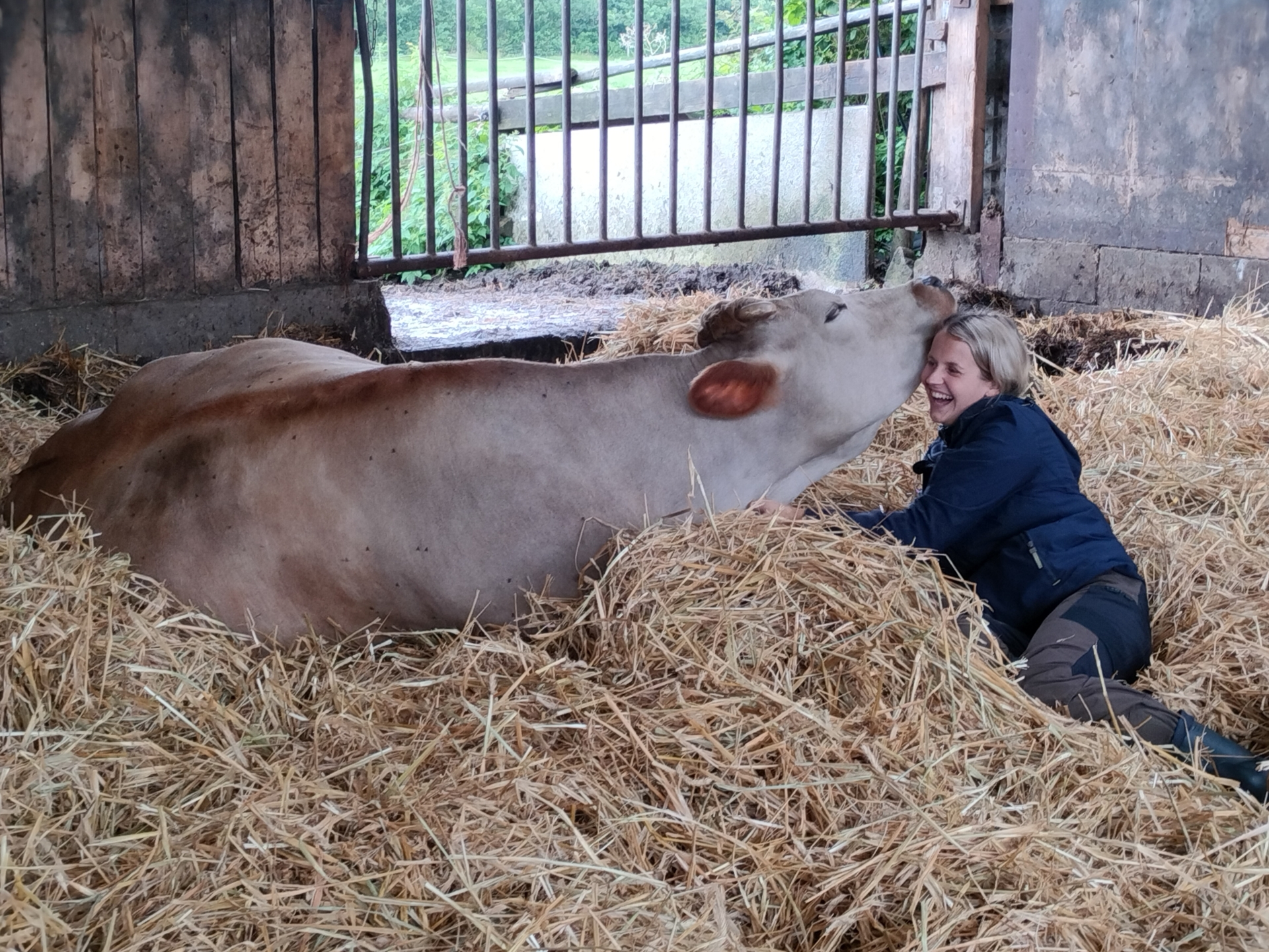 Foto der Galerie: Galerie