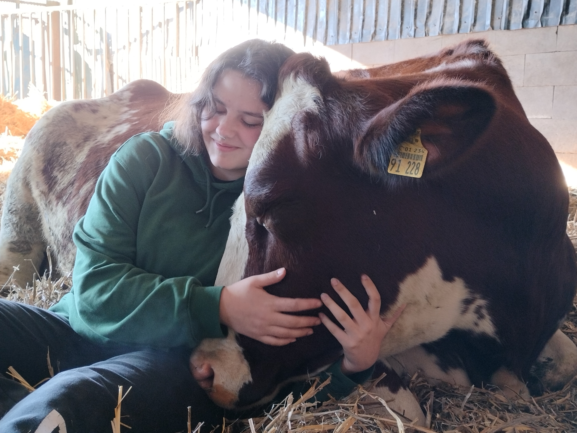 Foto der Galerie: Galerie