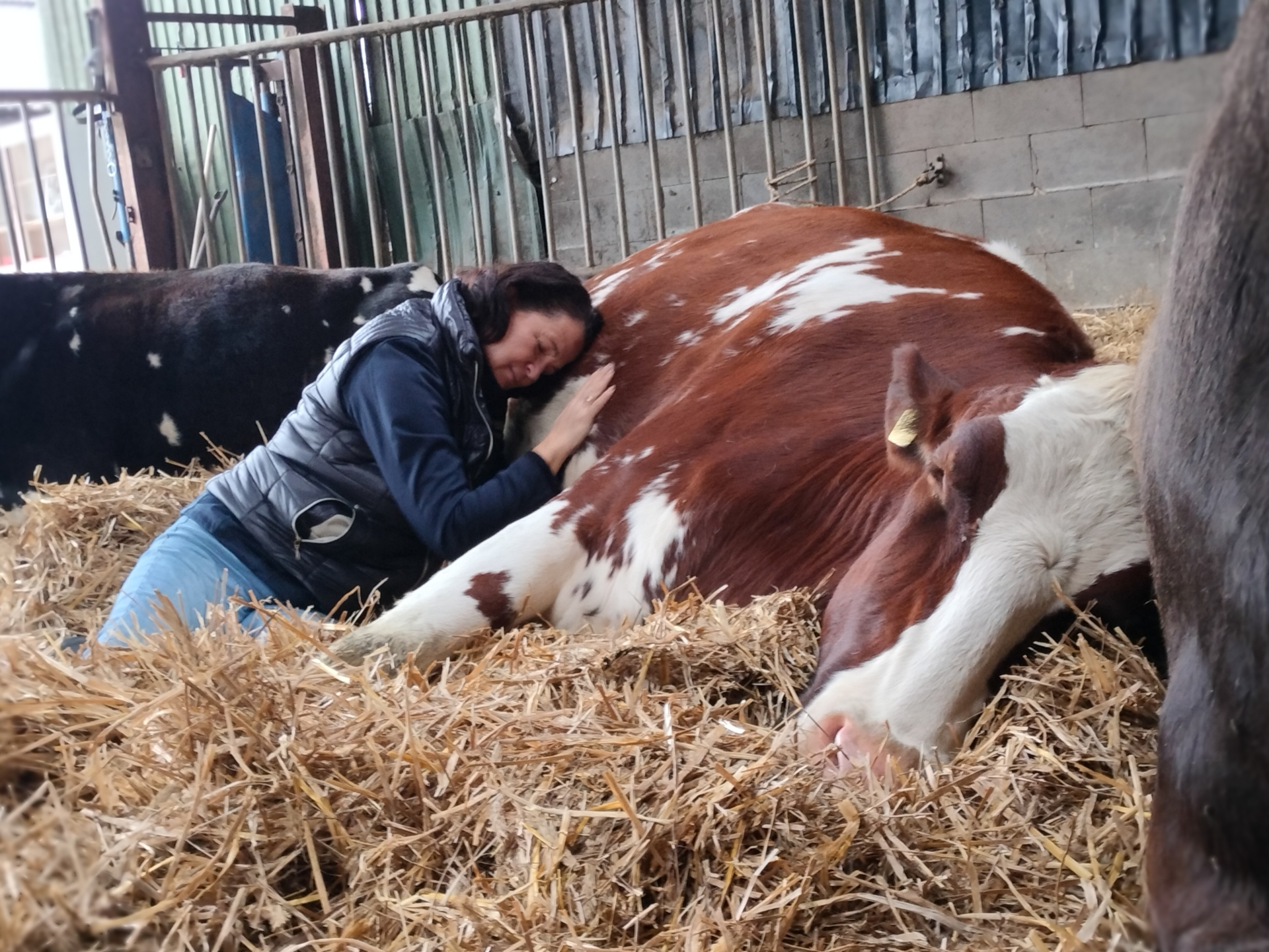 Foto der Galerie: Galerie