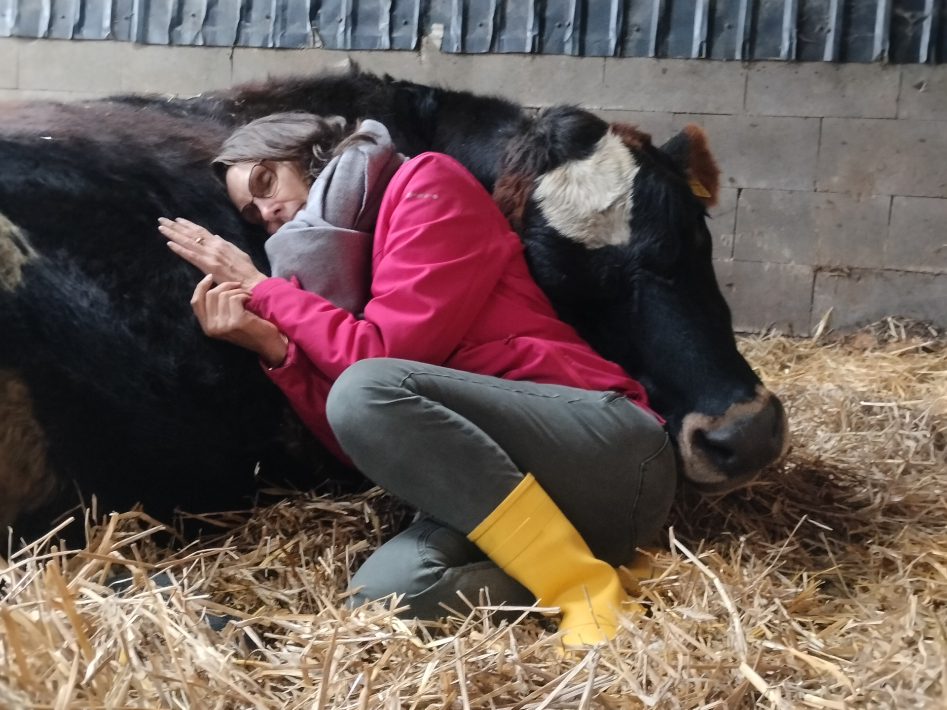 Foto der Galerie: Galerie