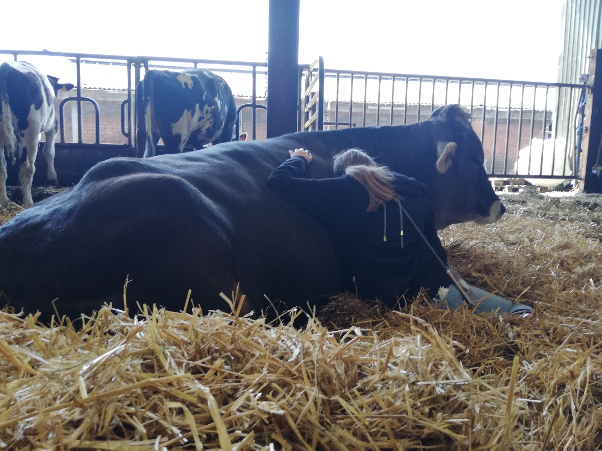 Foto der Galerie: Galerie