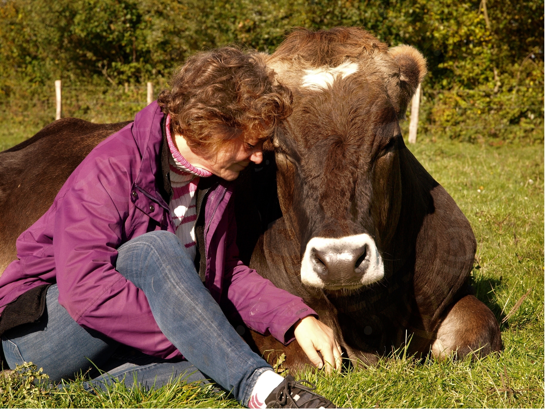 Foto der Galerie: Galerie